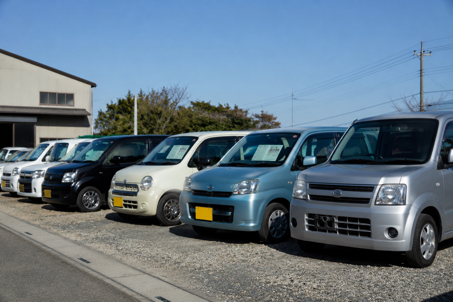 展示中の中古車